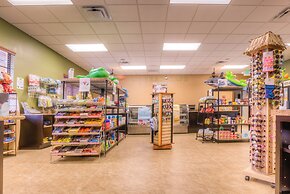 8929 Candy Palm Road