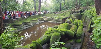 Bandhavgarh Tiger Resort