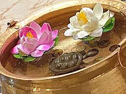 Hotel Airport Holiday