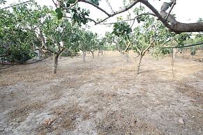 Fistiki House by Frangki