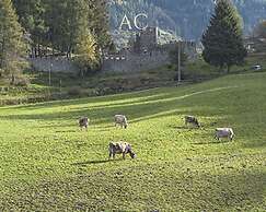 Sesto Senso in Ponte di Legno