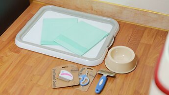 Taean Norabureo Pet Pension