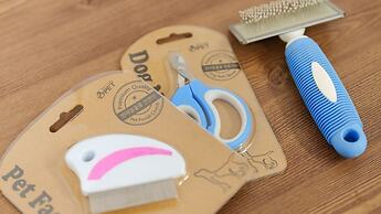 Taean Norabureo Pet Pension