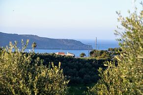 Olive Tree Hillside Apartment