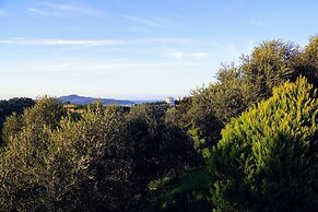 Olive Tree Hillside Apartment