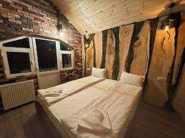 The Forest Villa Borovets1