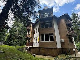 The Forest Villa Borovets1