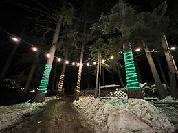 The Forest Villa Borovets1