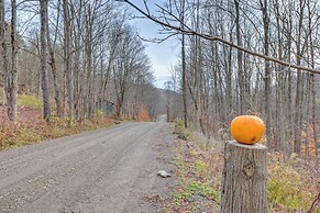 Finger Lakes Retreat: Cohocton Cabin on 25 Acres!