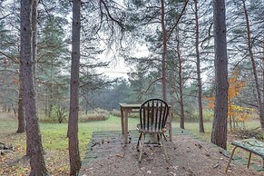 Finger Lakes Retreat: Cohocton Cabin on 25 Acres!