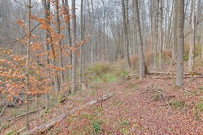 Finger Lakes Retreat: Cohocton Cabin on 25 Acres!