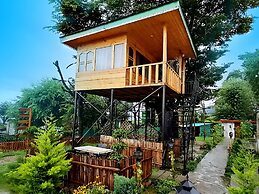 Hollywood Camps and Restaurant Bir