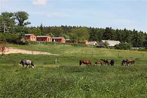 Ferienhaus mit Grosser Terrasse am Garder See