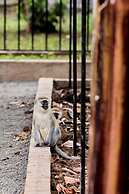 ARUSHA FARM HOUSE