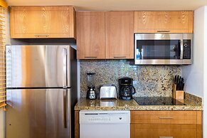 2BD Oceanview Villa Del Palmar Cabo