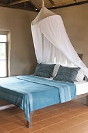 Little Forest Chiang Mai