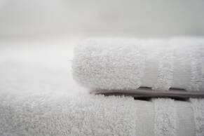 B&B Vesuvius Central