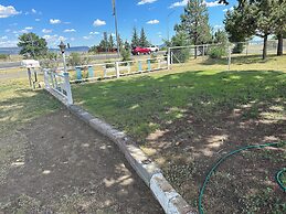 Maverick Motel and Glamp Ground