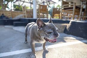 BOHO Boutique Bungalows