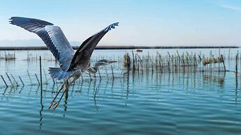 Albufera Dreams Nature Suites