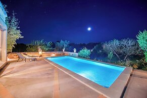 - House In