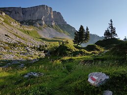 Modern City Apartments