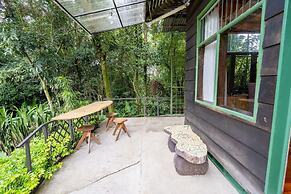 Violeta Homes Monteverde