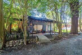 Violeta Homes Monteverde