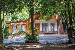 Violeta Homes Monteverde