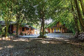 Violeta Homes Monteverde