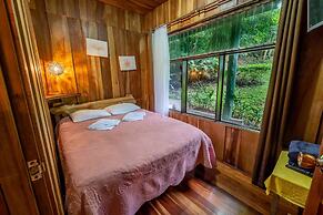 Violeta Homes Monteverde