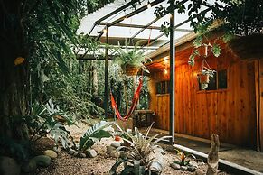 Violeta Homes Monteverde