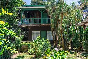 Violeta Homes Monteverde