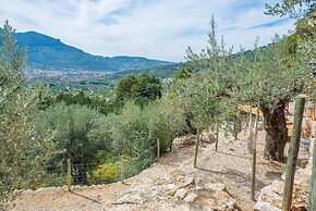 Els Abats - Villa With Private Pool In Fornalutx