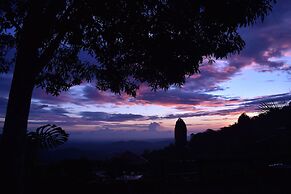 Finca San Antonio