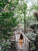 El Tumbo de las Olas