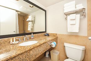 Palms at Waikiki by Tropical Escapes