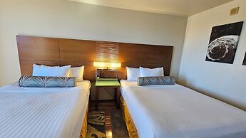 Palms at Waikiki by Tropical Escapes