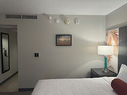 Palms at Waikiki by Tropical Escapes