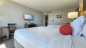 Palms at Waikiki by Tropical Escapes