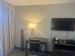 Palms at Waikiki by Tropical Escapes