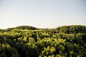 Csa Hotel Beach & Park
