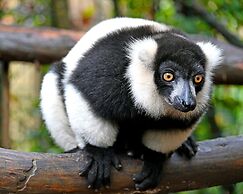 Csa Hotel Beach & Park