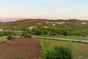 Konavle Apartments Zlatovisce