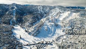 Pinetree Retreat #2499