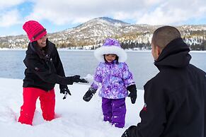 Pinetree Retreat #2499