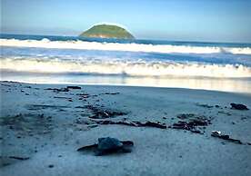 Beachside - Casa Sirena 1BR Suite