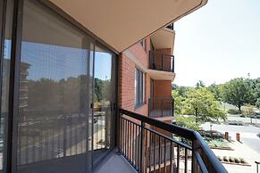 Prime Pentagon City Location Apartment