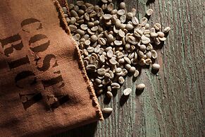 Viva Jaco Viva Jaco 04-08a