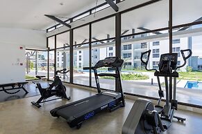 Viva Jaco Viva Jaco 04-08a